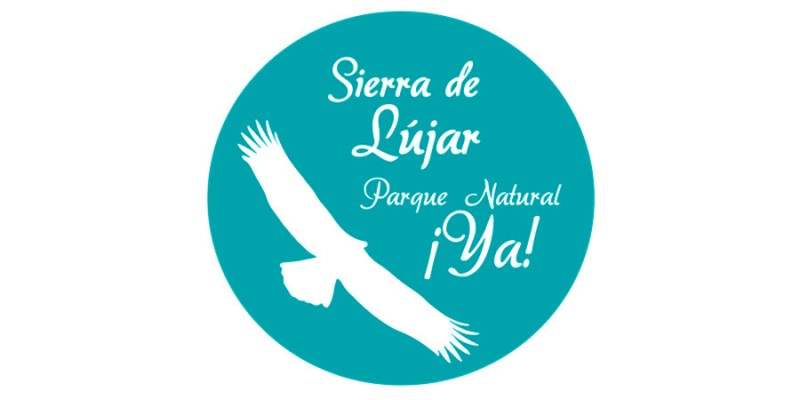 Logo-web